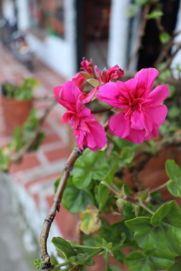 Hotel Lancers - Pantano De Vargas Paipa Boyaca ภายนอก รูปภาพ